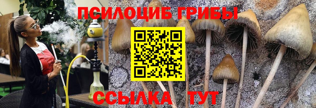 Псилоцибиновые грибы мухоморы  Вход с VPN  Дивногорск 