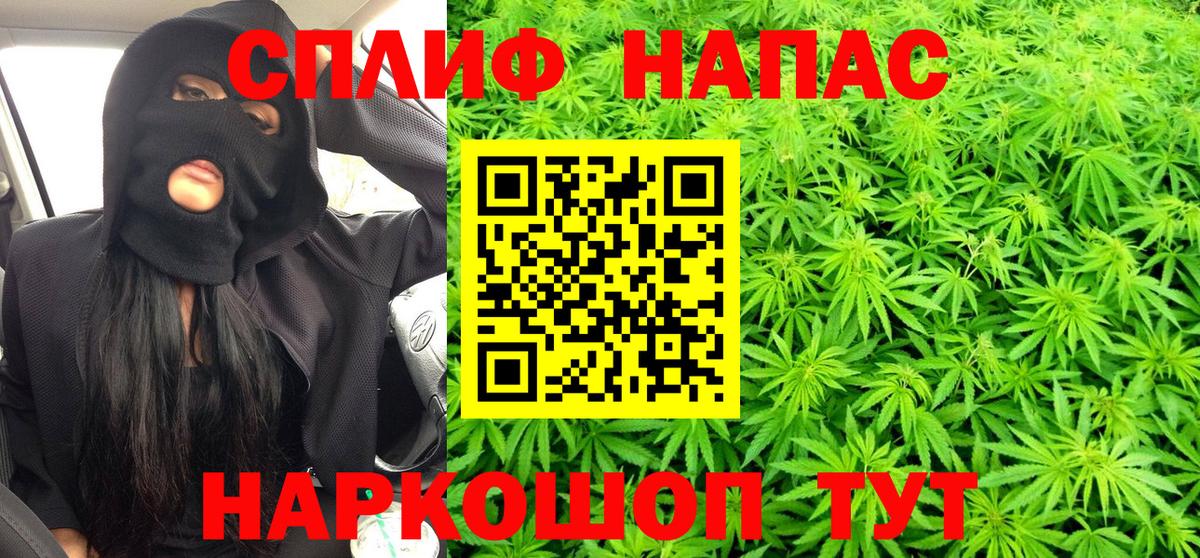 Дивногорск  Бошки Шишки сатива  Канабис сатива  Марихуана White Widow  Вход с VPN 
